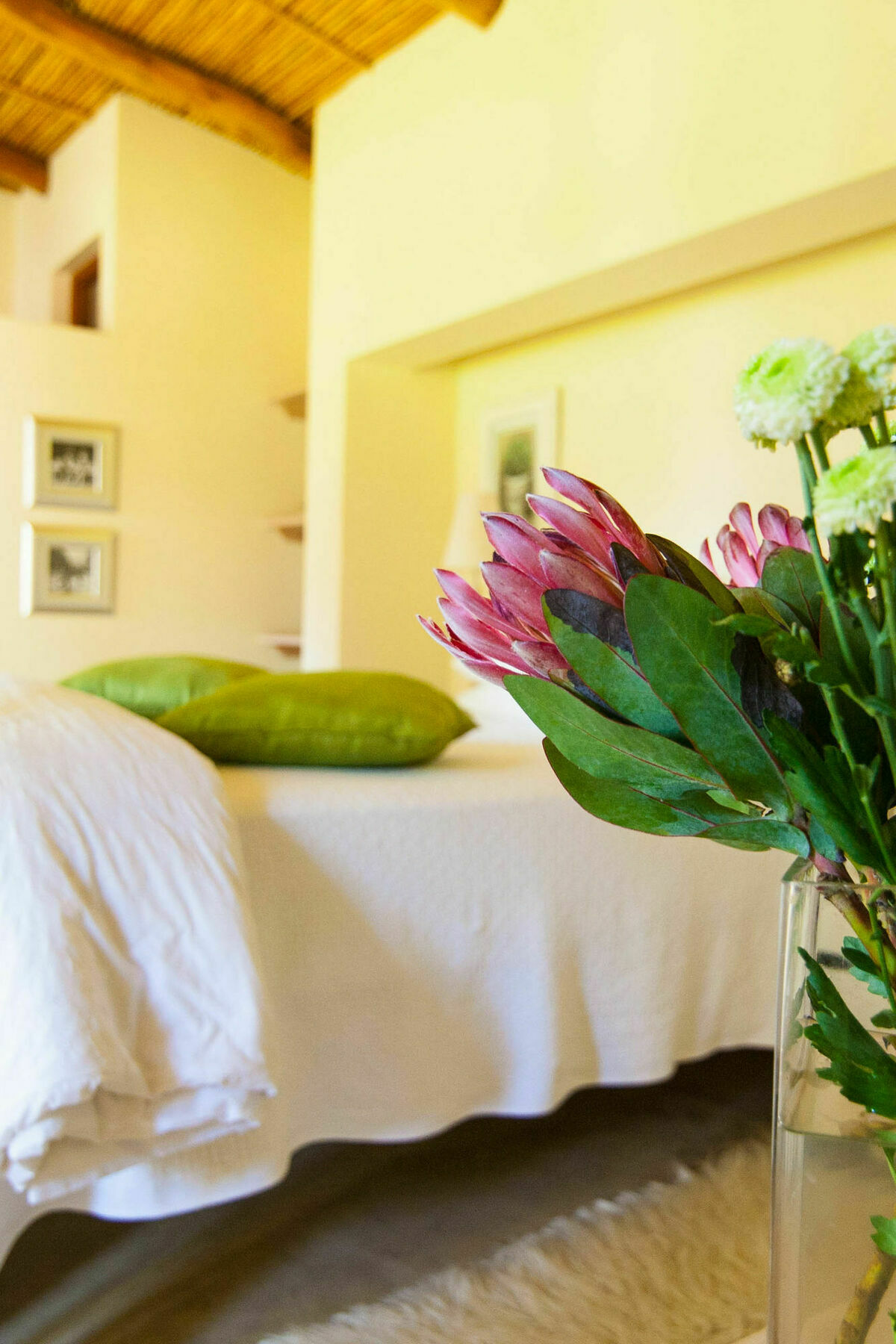 Babette Bed And Breakfast Swellendam Exterior foto